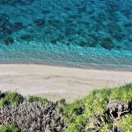 Aegean * Mourteri